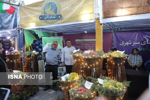 جشنواره انگور، جشنواره‌ای با طعم تابستان