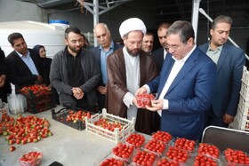 ضرورت استفاده از فناوری‌های نوین کشاورزی جهت افزایش بهره وری