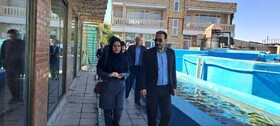برگزاری رویدادهای فرهنگی و هنری مورد توجه قرار گیرد