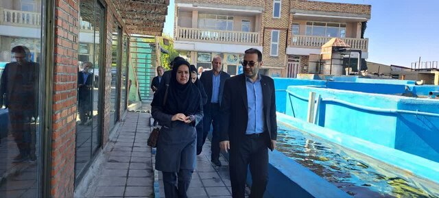 برگزاری رویدادهای فرهنگی و هنری مورد توجه قرار گیرد