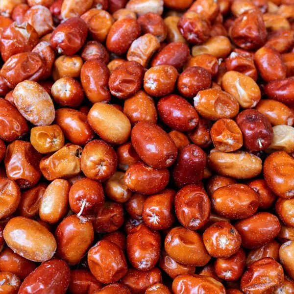 پیش‌بینی برداشت بیش از ۴۰ تن سنجد در آذربایجان‌غربی