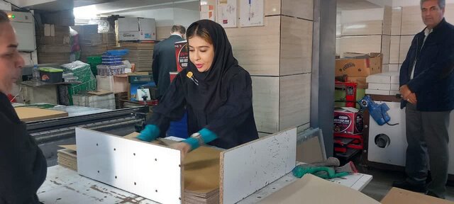 مدیرکل ارشاد استان: بدنبال ایجاد شهرک صنفی چاپ در آذربایجان‌غربی هستیم