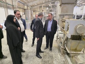 بهادادن به صنایع کوچک موجب ایجاد اشتغال و توسعه اقتصادی پایدار می‌شود