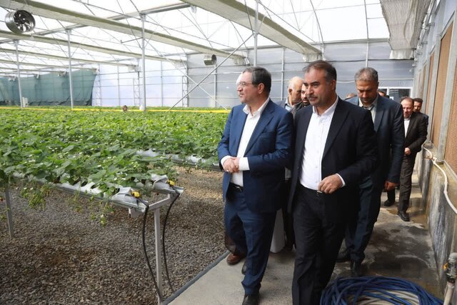 نهضت گلخانه‌ای در آذربایجان‌غربی؛ راهکاری عملی برای مدیریت کم‌آبی و تولید پایدار