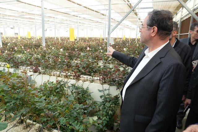 نهضت گلخانه‌ای در آذربایجان‌غربی؛ راهکاری عملی برای مدیریت کم‌آبی و تولید پایدار