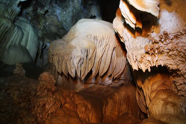 تعطیلی غارنوردی در آذربایجان‌غربی همزمان با آغاز خواب زمستانی خفاش‌ها / اجرای پویش ملی «کلاه‌ها روی زمین»