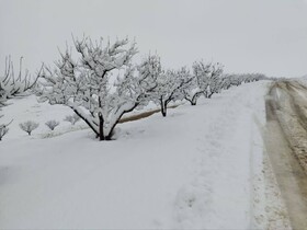 تشدید بارش‌ها در آذربایجان غربی