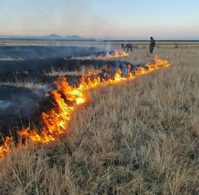 آتش‌سوزی در جنوب پارک ملی دریاچه ارومیه مهار شد