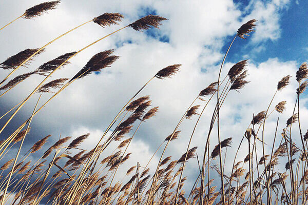 پیش بینی افزایش ابر و وزش باد در آذربایجان‌غربی