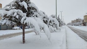 محورهای جنوب آذربایجان غربی درگیر بارش برف