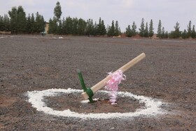 آغاز عملیات اجرایی پروژه‌های سرمایه‌گذاری خیابان غذا و جایگاه‌های کوچک عرضه سوخت در ارومیه