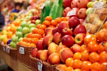 توزیع ۲۸۴ تن میوه تنظیم بازار در آذربایجان غربی