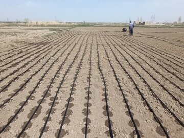 ۱۲ روستای آذربایجان غربی، هدف طرح کشاورزی پایدار در مسیر احیای دریاچه ارومیه