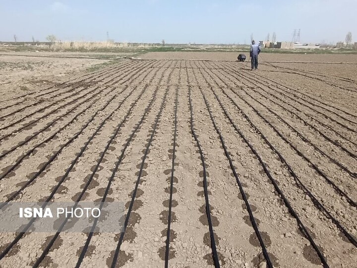 ۱۲ روستای آذربایجان غربی، هدف طرح کشاورزی پایدار در مسیر احیای دریاچه ارومیه
