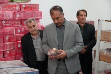 توسعه زیرساخت‌های فرآوری و بسته‌بندی از اولویت‌های کشاورزی آذربایجان غربی است