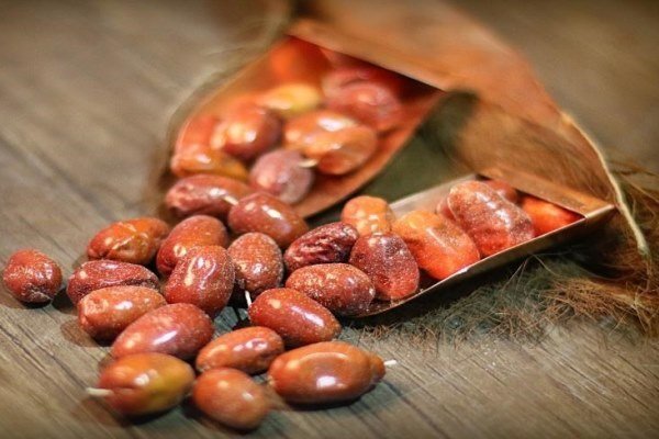 پیش‌بینی برداشت ۳۵ تن سنجد از باغ‌های آذربایجان‌غربی