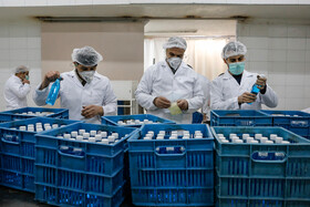 تولید مواد ضدعفونی در کارخانه الکل بیدستان قزوین