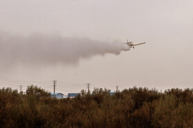 آتش‌سوزی در اراضی جنگلی بوئین‌زهرا