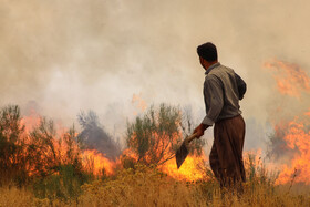 آتش‌سوزی در اراضی جنگلی بوئین‌زهرا استان قزوین