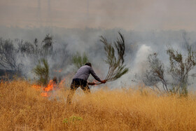آتش‌سوزی در اراضی جنگلی بوئین‌زهرا استان قزوین