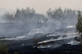 آتش‌سوزی در اراضی جنگلی بوئین‌زهرا استان قزوین