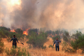 آتش‌سوزی در اراضی جنگلی بوئین‌زهرا استان قزوین
