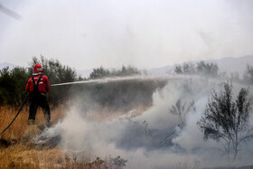 آتش‌سوزی در اراضی جنگلی بوئین‌زهرا استان قزوین