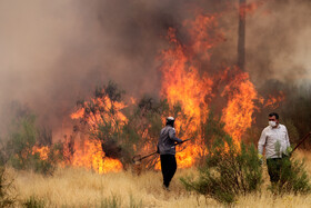 آتش‌سوزی در اراضی جنگلی بوئین‌زهرا استان قزوین