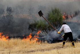 آتش‌سوزی در اراضی جنگلی بوئین‌زهرا استان قزوین