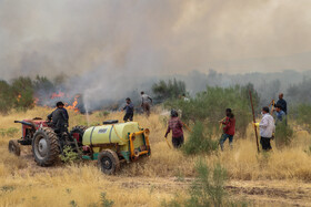 آتش‌سوزی در اراضی جنگلی بوئین‌زهرا استان قزوین