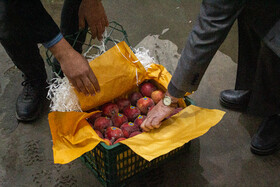 از ورود برنج تنظیم بازار به قزوین تا ذخیره‌سازی میوه‌ شب عید
