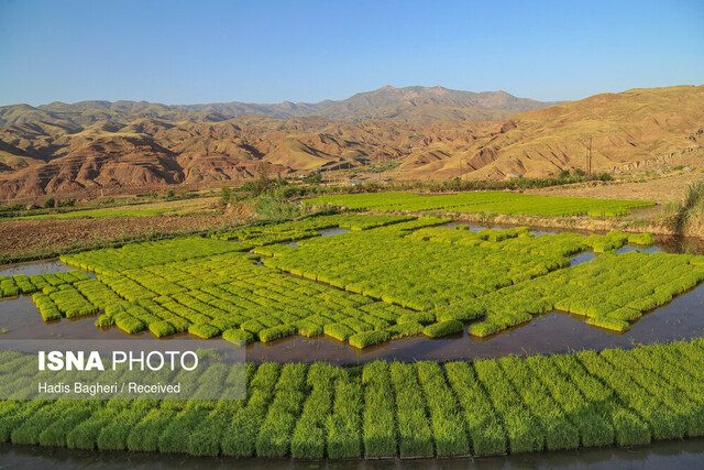بیتوجهی پارک علم و فناوری قزوین به کشاورزی دانشبنیان