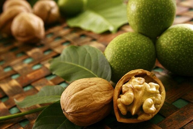 پیش‌بینی برداشت ۸ هزار تن گردو از باغات قزوین در سال ۱۴۰۰