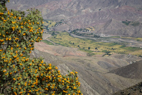 نمایی از رود شاهرود الموت که شالیزارهای منطقه از آن سیراب می‌شود.
