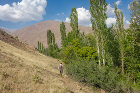 روستای زرآباد معمولا به علت میزان بالای بارش باران و بارش و وجود برف روی کوه ها و در نتیجه آب شدن برف ها، با کم آبی روبرو نبوده ولی در چندسال اخیر به علت بارش کم برف و باران میزان آب کم بوده و این امر بر کشاورزی تاثیر مستقیم گذاشته به طوری که میانگین کشت لوبیا از ۱۵۰۰ متر به ۲۰۰ متر رسیده است.