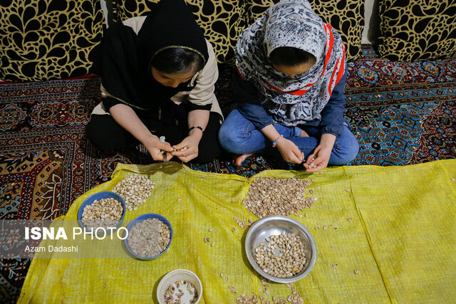 تن افغانها زخمی و روحشان خراشیده شده؛ ایران ما را بپذیرد