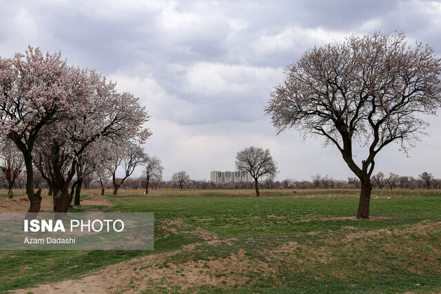 از «باغشهر» قزوین چه مانده است؟