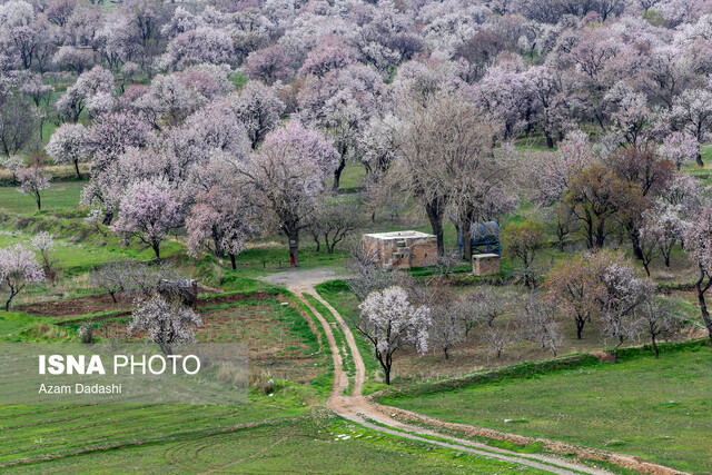 معرفی «قزوین» گنجینه تاریخ ایران