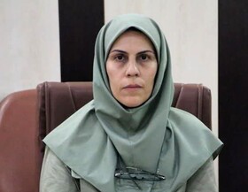 مدیرکل منابع طبیعی قزوین: تنها با نیم درصد از استعلامات معدنی استان موافقت شده است