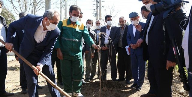 قمی ها برای نشان دادن پیوند دوستی با هم، درخت بکارند