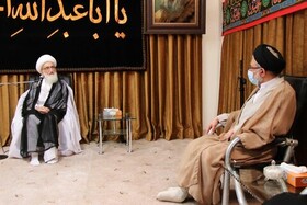 تقدیر آیت العظمی نوری همدانی از ایثارگری های سربازان گمنام امام زمان(عج)