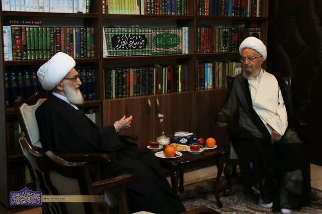 آیات عظام مکارم و نوری همدانی دیدار کردند