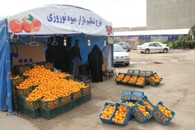 توزیع میوه تنظیم بازار در ۱۲۰ مرکز عرضه استان یزد/پرتقال کیلویی ۱۸ تا ۱۹ هزار تومان