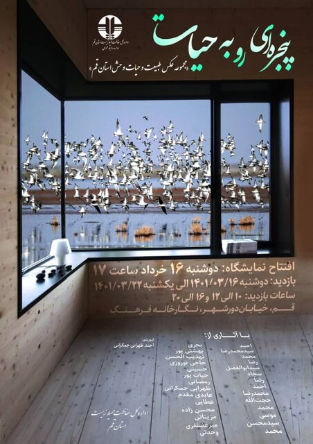 نمایشگاه عکس پنجره‌ای رو به حیات افتتاح خواهد شد