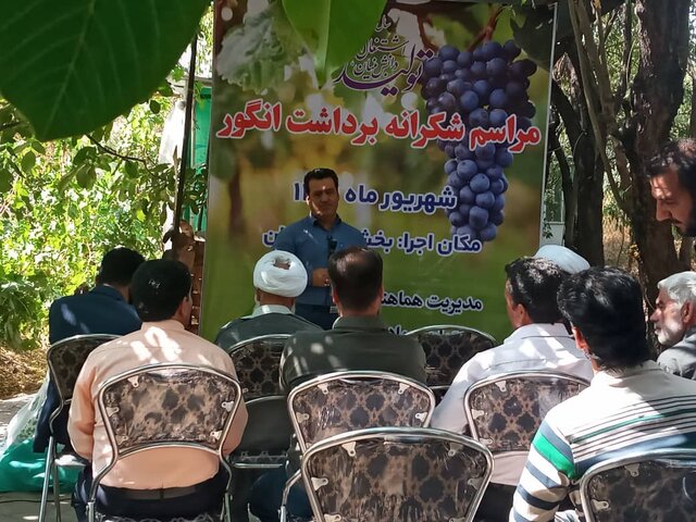 ۳۷ طرح کشاورزی در استان قم بهمناسبت هفته دولت بهره برداری می شود