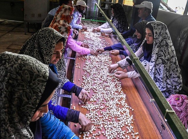 ۲۷ صندوق اعتباری خرد زنان روستایی در قم فعال است ۲۷ صندوق اعتباری خرد زنان روستایی در قم فعال است