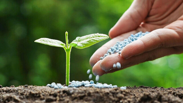 خدمات حمایتی کشاورزی، بازوی توانمند کشاورزان استان قم خدمات حمایتی کشاورزی، بازوی توانمند کشاورزان استان قم