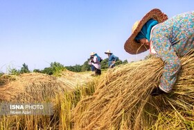 اختصاص تسهیلات بدون سود و بیمه تکمیلی برای مستمری‌بگیران بیمه کشاورزان در قم