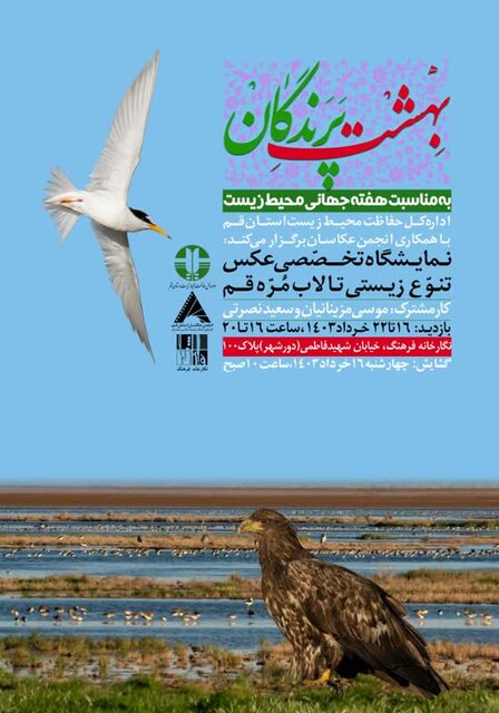 تشکیل کمیته طبیعت گردی در قم/ضوابط برداشت از تالابهای رسماً ابلاغ خواهد شد