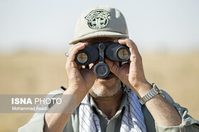 صدای محیط بانان شنیده شود/ طبیعت بدون محیط بانان بی دفاع است